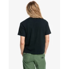 Футболка Quiksilver Cropsstee W Tees