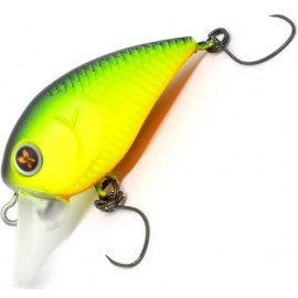 Yellow/Green