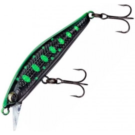 Black/Green