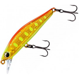 Orange/Yellow