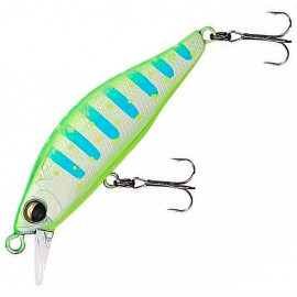 Lime/Cyan