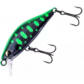 Black/Green