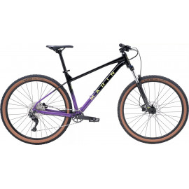 Black/Purple