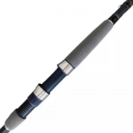 Спінінг Daiwa Exceler 802MFS 2.44 m 10-40 g