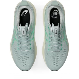 Кросівки Asics Gel-Kayano 32 2026