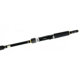 Спінінг Daiwa Seabass Hunter X 100MH-R 3.05 m 12-60 g