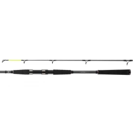 Спінінг Daiwa Seahunter X 2.70 m 30-60 g