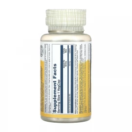 Витамины Solaray Vitamin B-6 Timed-Release 100 mg - 60 vcaps
