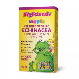 Ехінацея Natural Factors BigFriends Echinacea Alcohol-Free Fresh Herb Tincture for Kids - 50 ml