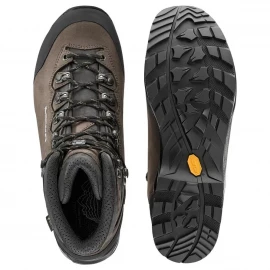 Черевики Lowa Camino Evo GTX