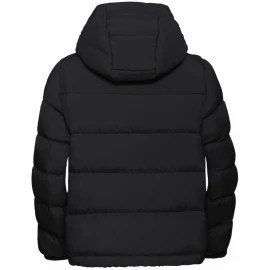 Куртка Jack Wolfskin Frozen Palace Jkt W