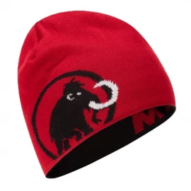 Шапка Mammut Logo Beanie