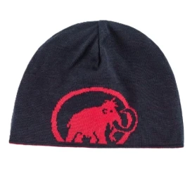 Шапка Mammut Logo Beanie