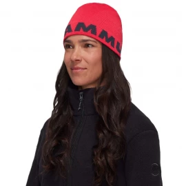 Шапка Mammut Logo Beanie