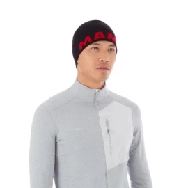 Шапка Mammut Logo Beanie
