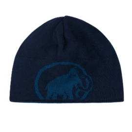 Шапка Mammut Logo Beanie