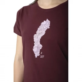 Футболка 2117 Apelviken T-Shirt D