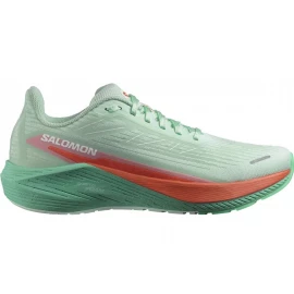 Кросівки Salomon Aero Blaze 2