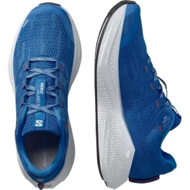 Кросівки Salomon Aero Glide 3