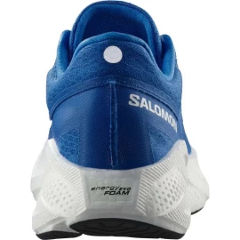 Кросівки Salomon Aero Glide 3