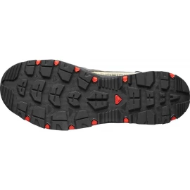 Кросівки Salomon Techamphibian 5