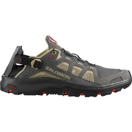 Кросівки Salomon Techamphibian 5
