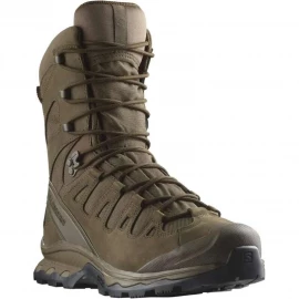 Черевики Salomon Quest 4D Forces 2 High GTX
