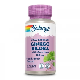 Екстракт Гінкго Білоба Solaray Ginkgo Biloba Extract One 120 mg - 30 vcaps