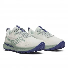 Кросівки Saucony Peregrine 15 GTX Wmn