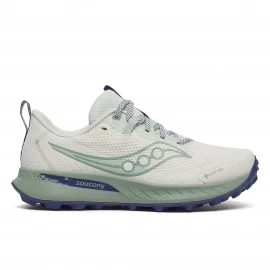 Кросівки Saucony Peregrine 15 GTX Wmn