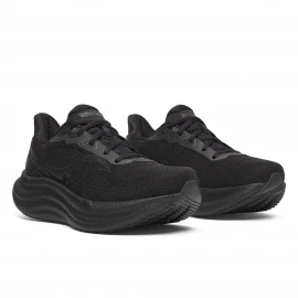 Кросівки Saucony Triumph 23 Wmn