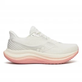Кросівки Saucony Triumph 23 Wmn