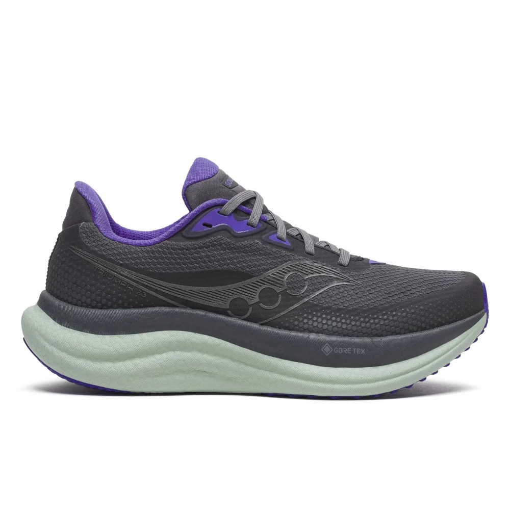 Кросівки Saucony Triumph 23 GTX Wmn