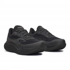 Кросівки Saucony Triumph 23 GTX Wmn