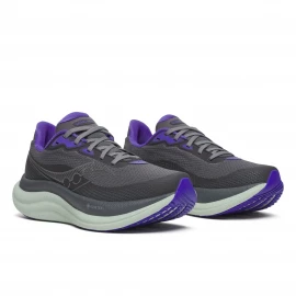 Кросівки Saucony Triumph 23 GTX Wmn