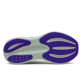 Кросівки Saucony Triumph 23 GTX Wmn