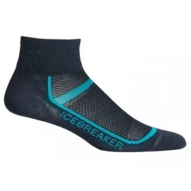 Шкарпетки Icebreaker Multisport Ultra Light Mini Wmn