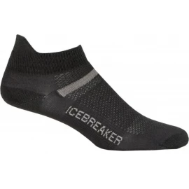 Шкарпетки Icebreaker Multisport Superlite Micro Men