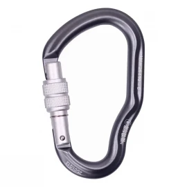 Карабін First Ascent Dizzy