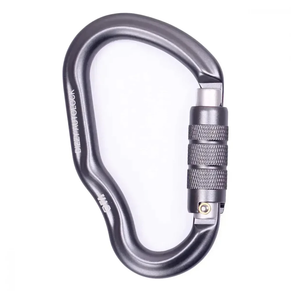 Карабін First Ascent Dizzy Autolock