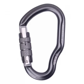 Карабін First Ascent Dizzy Autolock