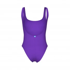 Купальник Arena Team Stripe Swimsuit U Back