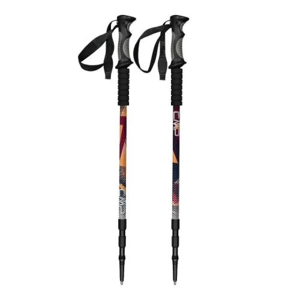 Палиці CMP Bern Trekking Poles