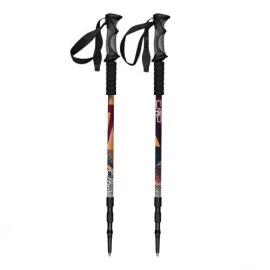 Палиці CMP Bern Trekking Poles