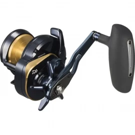 Катушка Daiwa 25 Saltiga 10HL