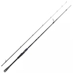 Спінінг Daiwa Prorex AGS Spin Lazy Pike 8` 2.44 m 40-120 g