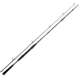 Спиннинг Daiwa Seahunter X 2.70 m 40-120 g