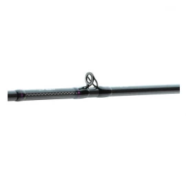 Спінінг кастинговий Daiwa Prorex AGS Bait Big Rubber 8`4" 2.54 m 170 g