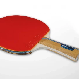 Набор для настольного тенниса Gewo Rave Speed 2 Bats 3 Balls