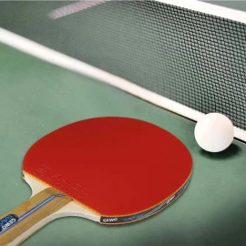 Набор для настольного тенниса Gewo Rave Speed 2 Bats 3 Balls